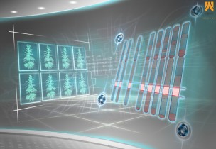 云南烟草图位克隆汇报片