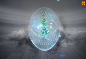 云南烟草图位克隆汇报片