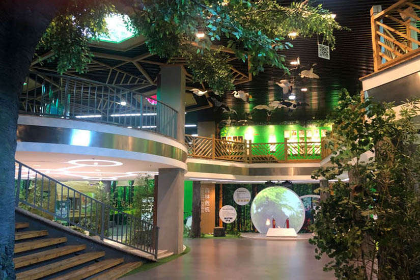 黄海森林公园科普馆